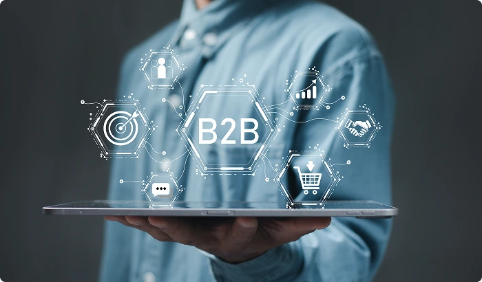 B2B Ecommerce
